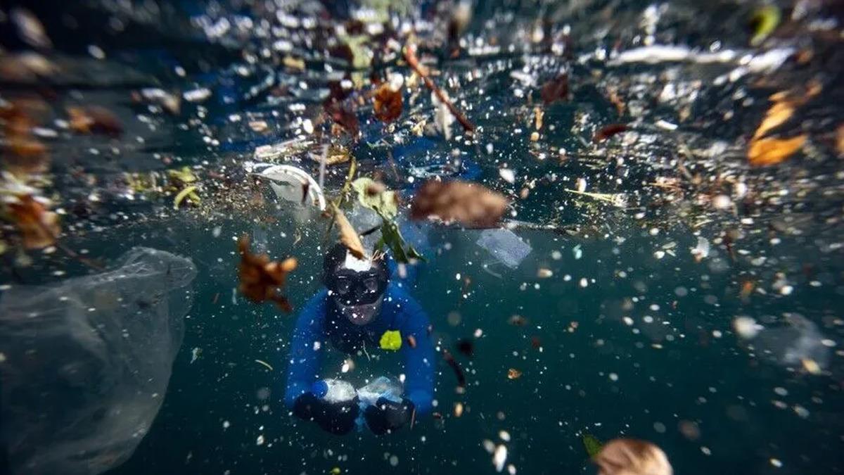 Adana Plastik Kirliliği