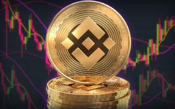 Binance stablecoin girişleri